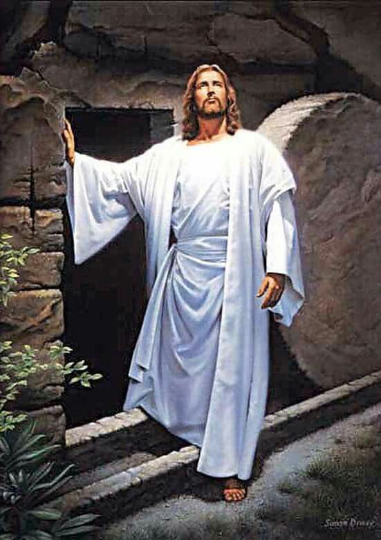 jesus standing in front of a stone wall with text that reads, groundhog? you were expecting a godam grundhoo?