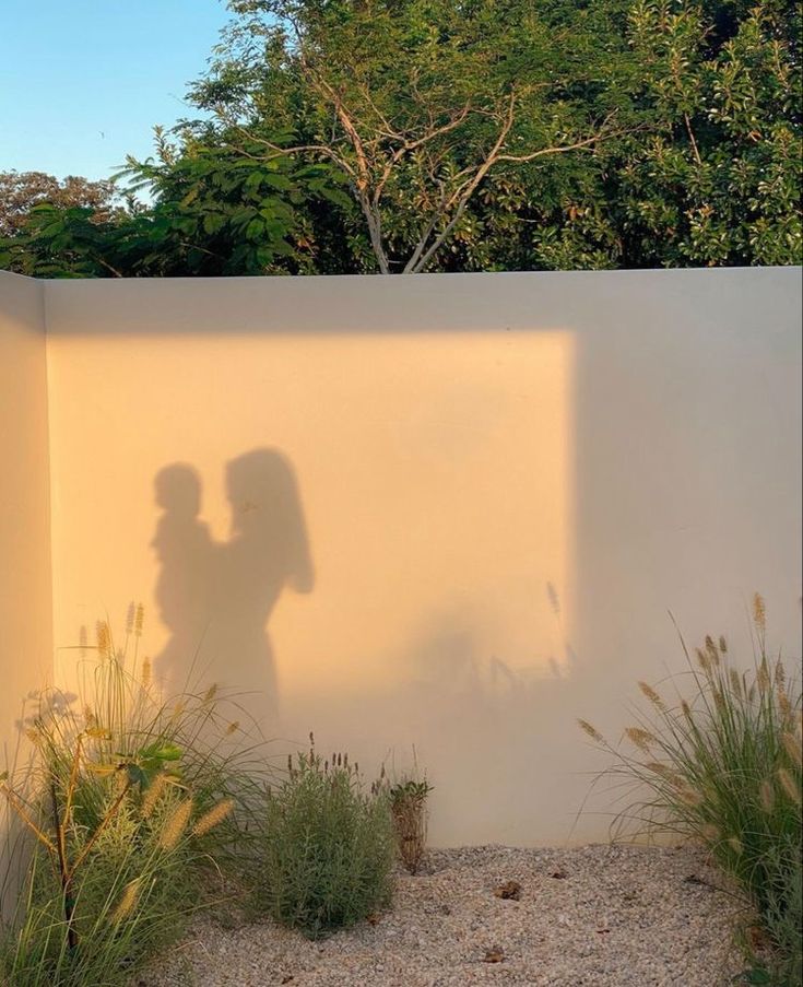 the shadow of a person standing in front of a white wall next to some plants