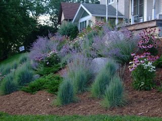 a hillside garden with purple flowers and green grass in front of a house on a hill