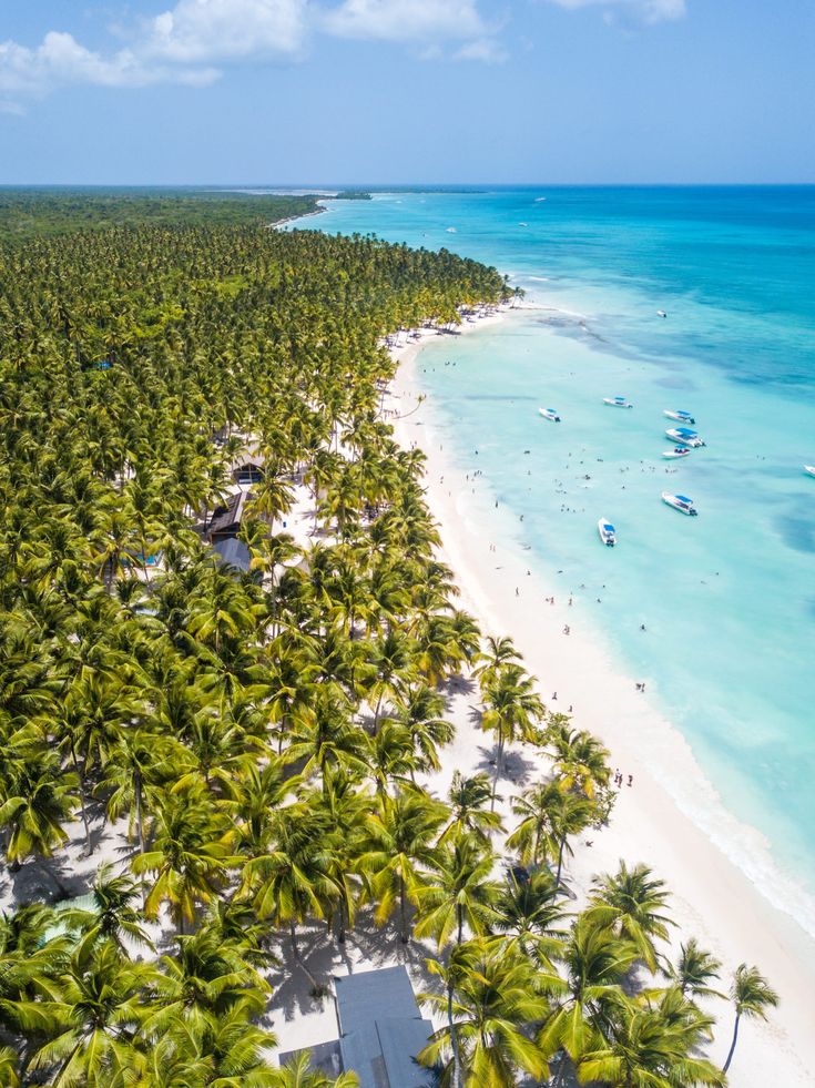 an aerial view of a beach with palm trees and boats on the water in front of it