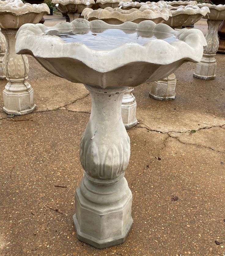 Our Decorative Concrete Bird Bath is made of solid concrete and comes in two separate pieces. This bird bath is one of our most popular bird baths and is available at all locations. Please visit your local store to shop the rest of our Bird Baths; selections may vary by location Circle E Candles, Fraser Fir Christmas Tree, Spring Garden Decor, Concrete Bird Bath, Metallic Christmas, Halloween Floral, Bird Baths, Fall Door Decorations, Decorative Concrete