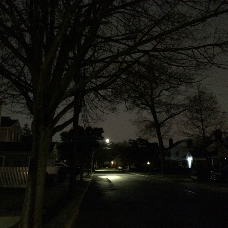 a dark street at night with no cars on it and trees in the foreground