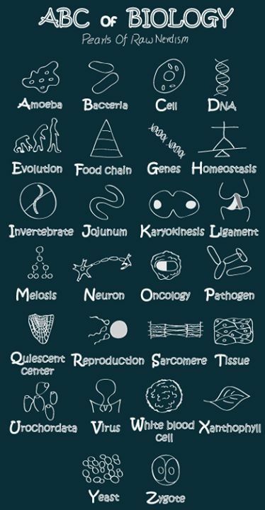 an image of different types of symbols on a black background with the words abc or biology written in white