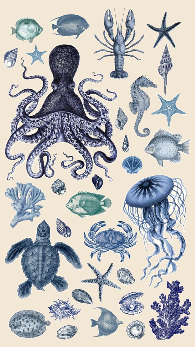 an octopus and other sea animals are depicted in this illustration