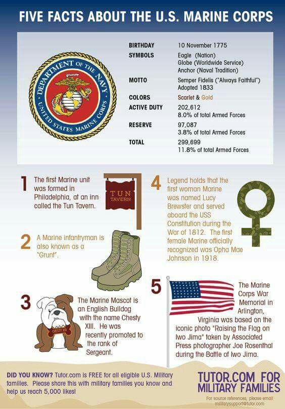 the history of marine forces info sheet