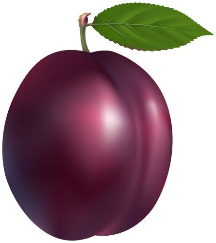 a plum with a green leaf on it