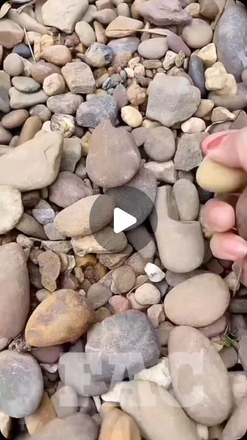 someone is picking up rocks from the ground with their thumb and thumbnails on