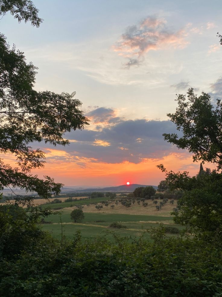 the sun is setting over an open field with trees and bushes in front of it