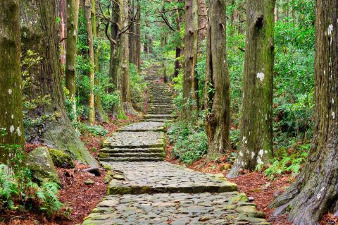 The Most Stunning Walking Trails in Japan | Travel Insider | World ...