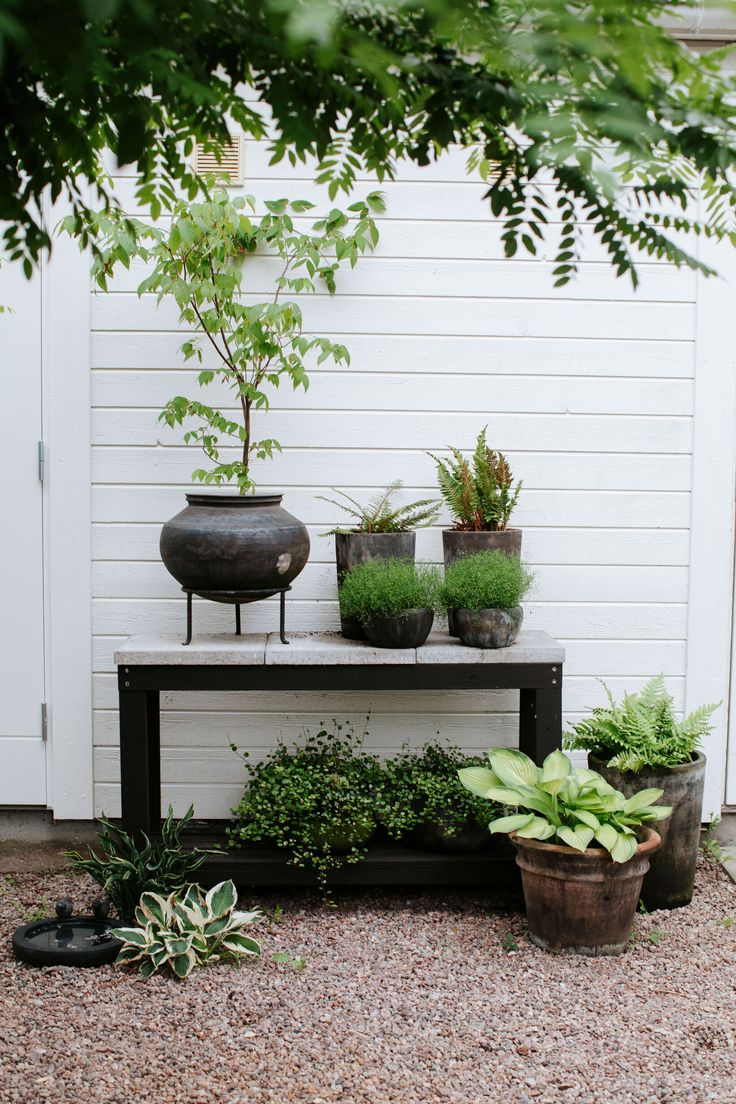 some potted plants are sitting on a bench