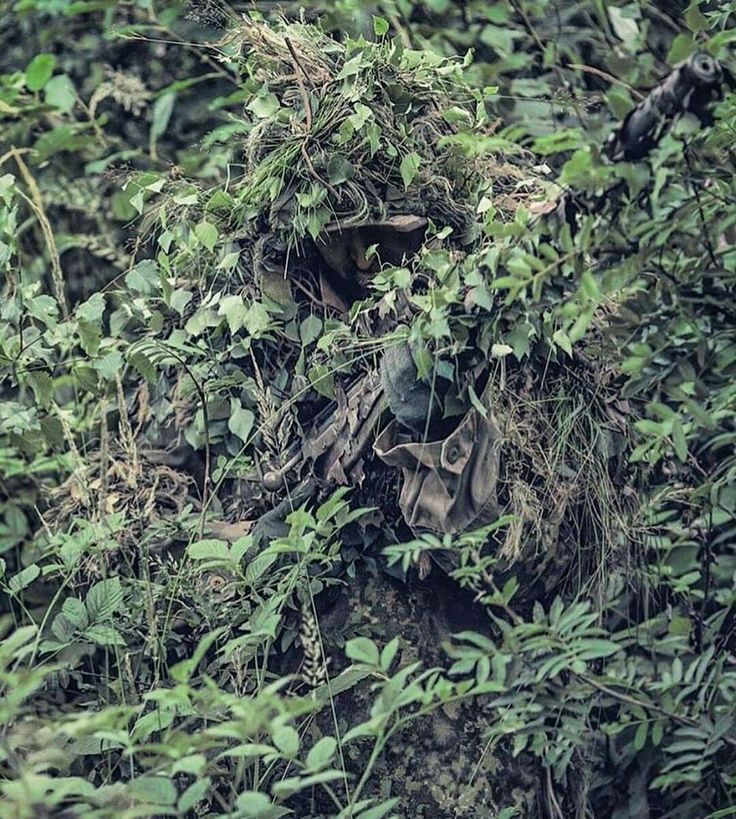 the camouflage is covered in green leaves