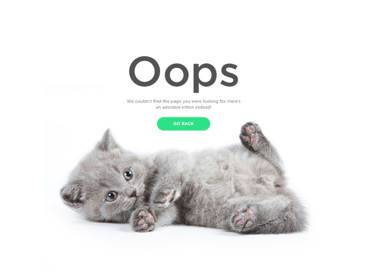 Daily UI #008 - 404 Page 404 Error Page Design, Error Page Design, Game Landing Page, 404 Page Design, Mobile App Landing Page, Modern Landing Page, Saas Landing Page, Cat Website, 404 Pages