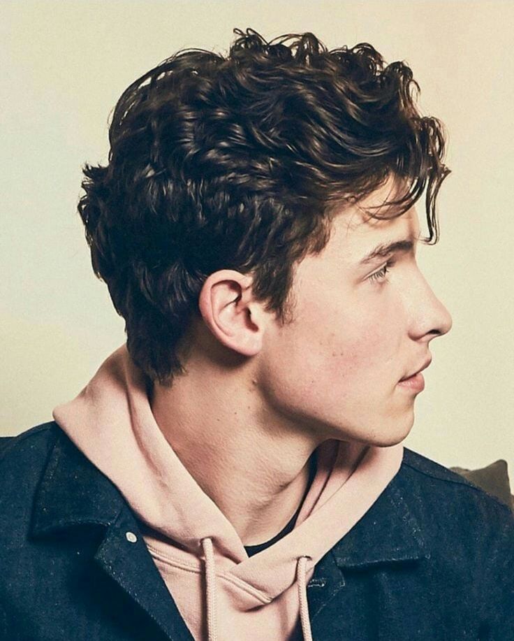 New Latest Hairstyle, Wavy Hairstyles For Men, Shawn Mendes Hair, Curly Hairstyle Ideas, David Hair, Men Haircut Curly Hair, Wavy Hairstyles Medium, Wavy Hair Men, Tutorial Ideas