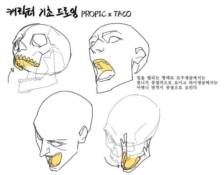 an anime character's head with different facial expressions