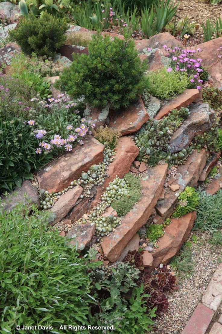 a garden with rocks and plants growing on it's sides, along with flowers