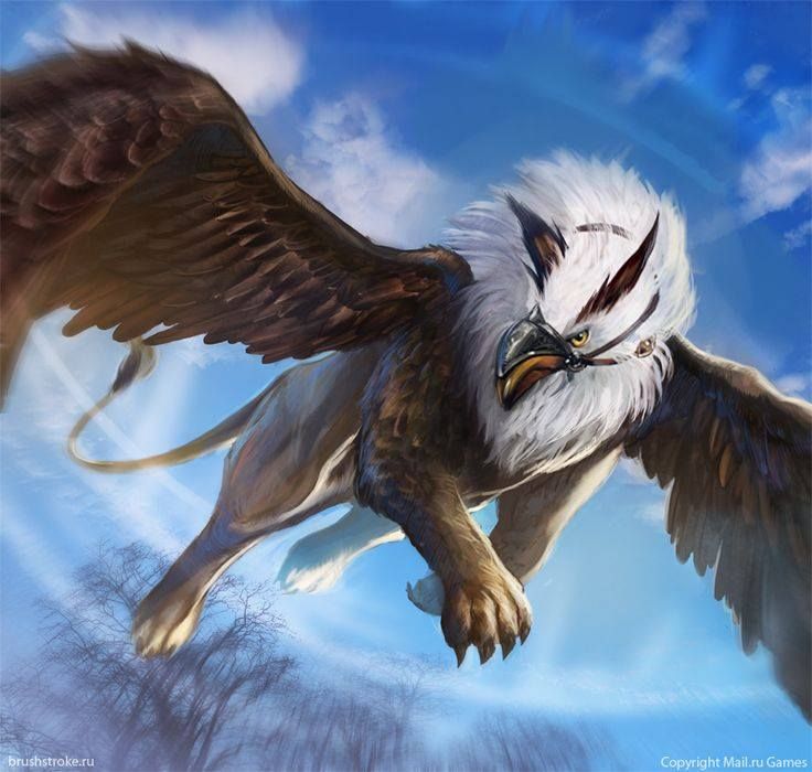 an eagle is flying through the air with its wings spread out and it's eyes open