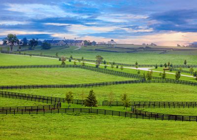 a green field with a fence and houses in the distance on a cloudy day at sunset