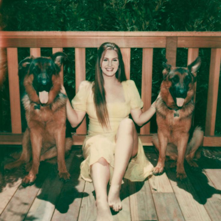 a woman sitting on a wooden bench next to two german shepard dogs in front of her