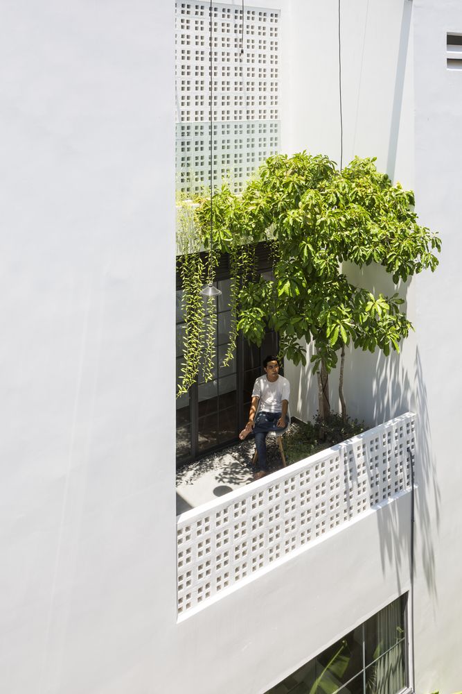 a man sitting in the window sill of a building with a tree growing out of it