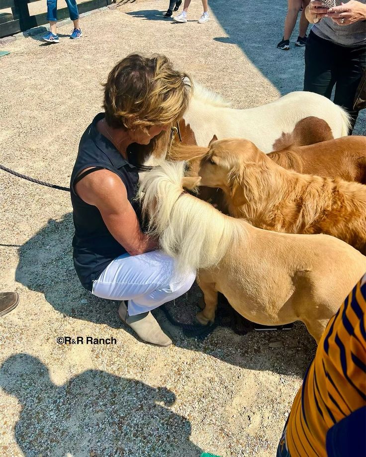 a woman is petting several dogs on the ground while others are standing around her