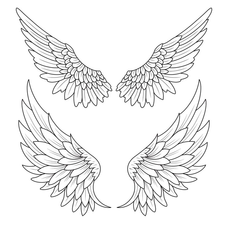 two wings that are drawn in line on a white background