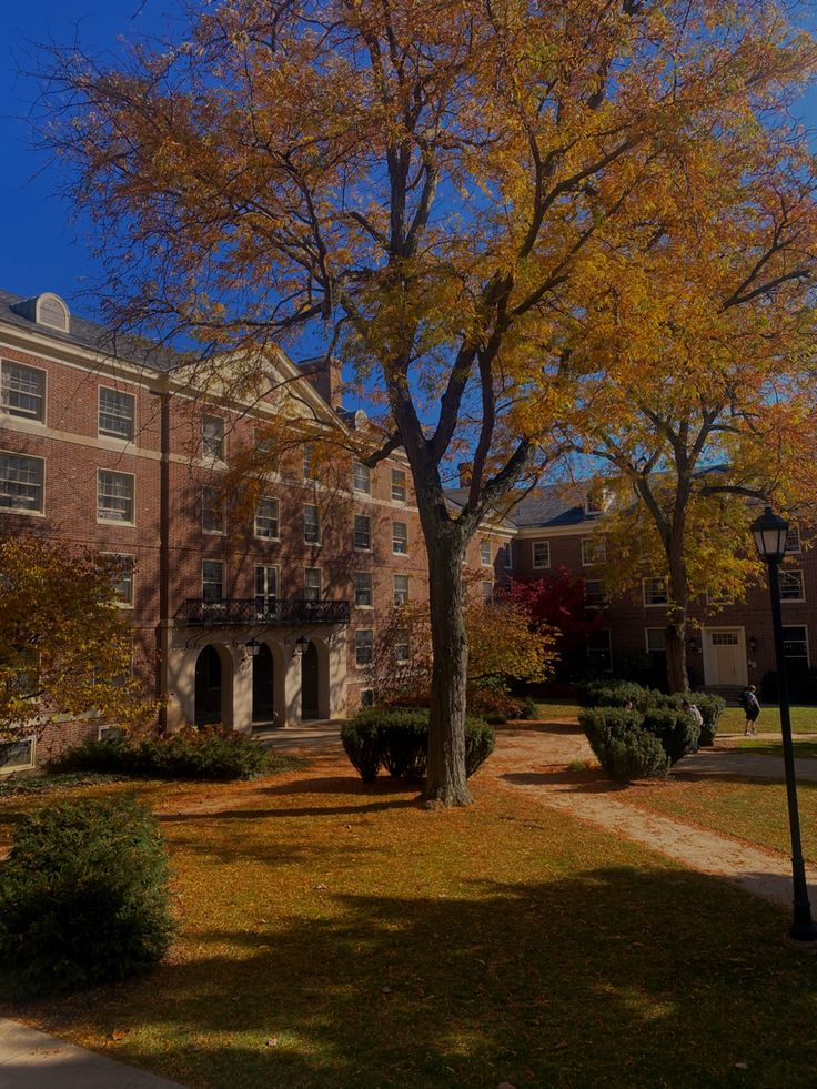 a tree in front of a brick building on a sunny day with blue skies above