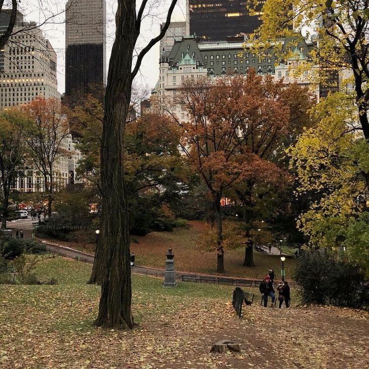 people walking in the park with tall buildings in the backgrounnd and autumn leaves on the ground