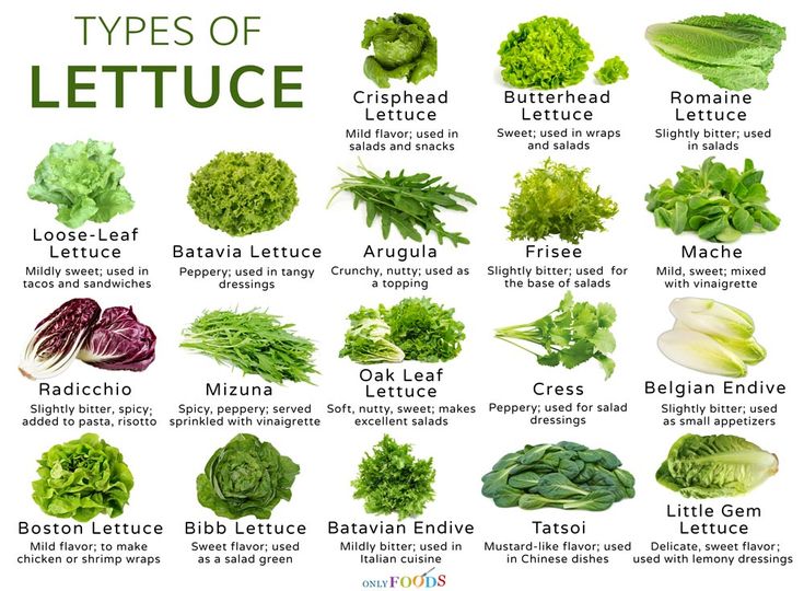 the different types of lettuce are shown in this poster, with their names