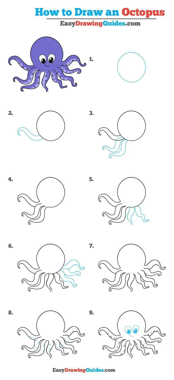 how to draw an octopus step by step instructions for kids and beginners with pictures