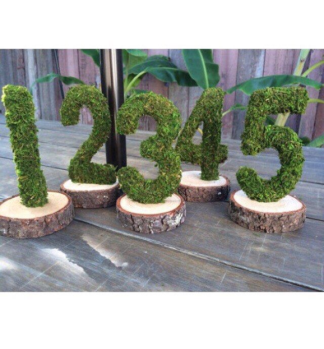 the numbers are made out of wood and have moss growing on it's sides