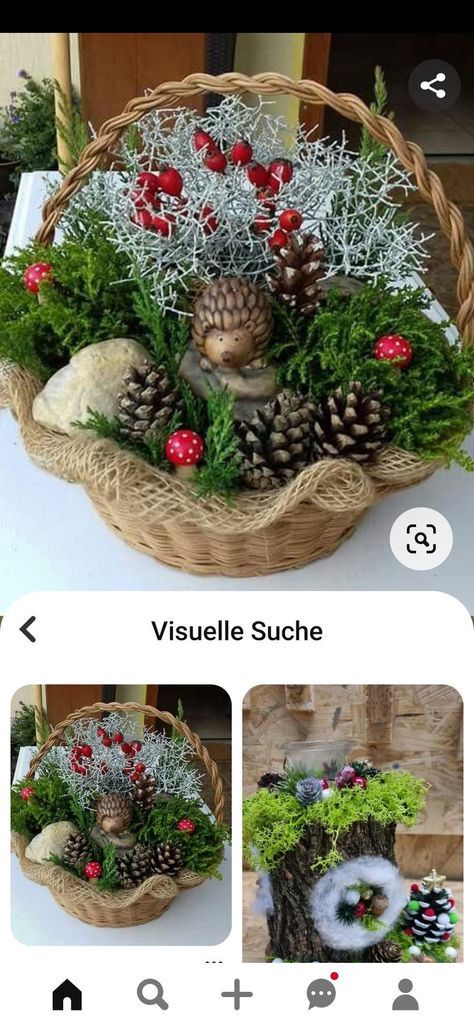 a basket filled with plants and pine cones