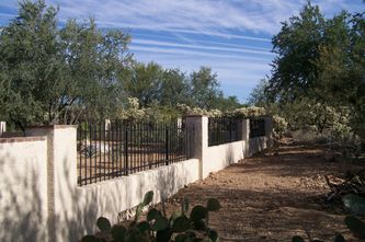 a fenced in area with cactus and trees