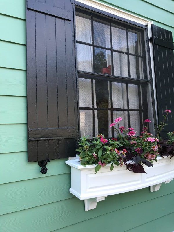 a window with black shutters and flowers in the window sill on a green house