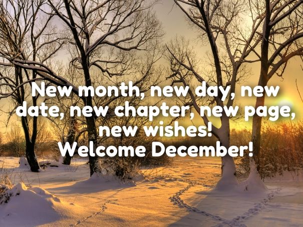 a snow covered field with trees and the words new month, new day, new date, new character, new page, new wishes welcome december