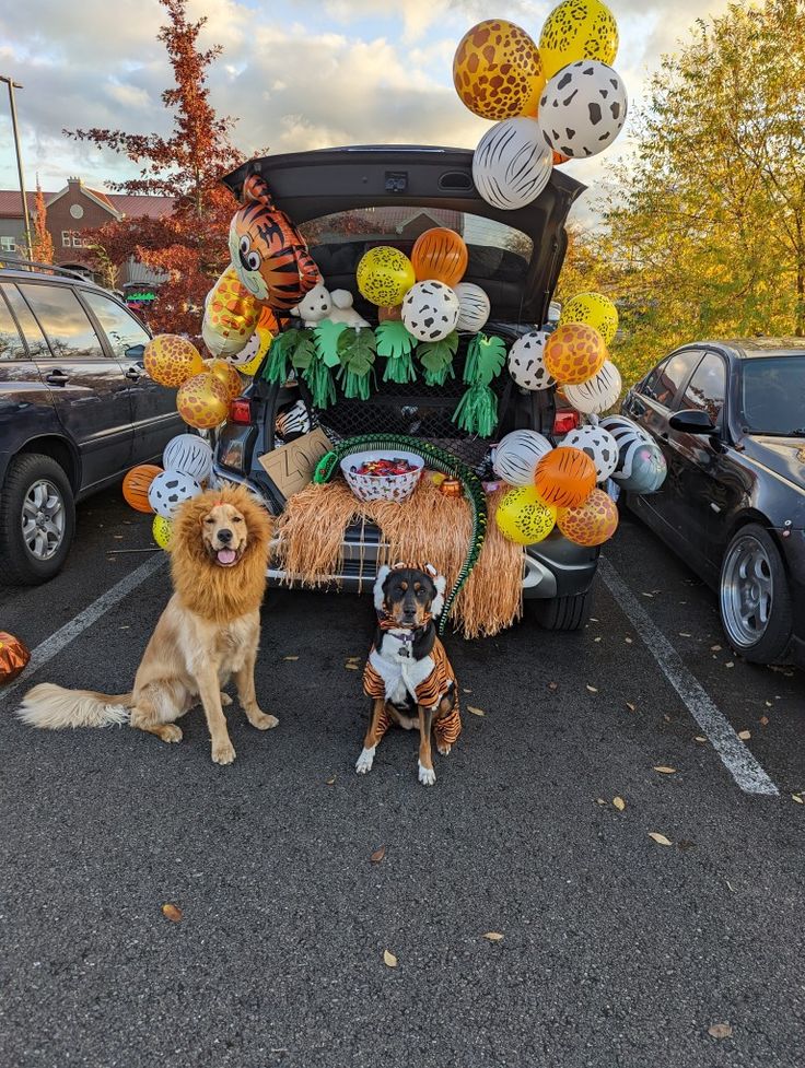 two dogs are sitting in front of a car decorated with balloons and other decorations for halloween