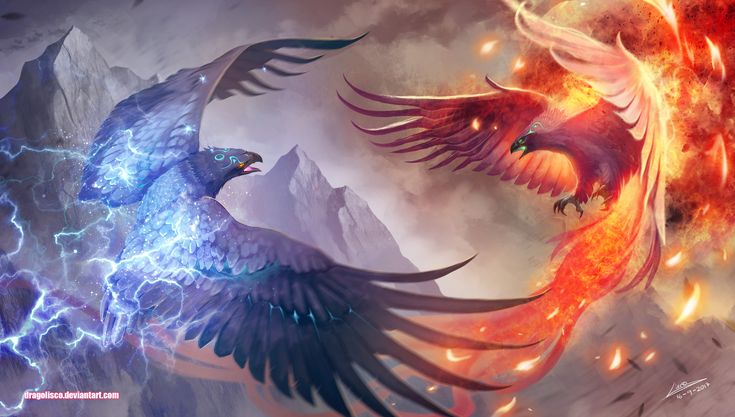 two birds flying next to each other in front of a fire and ice background with lightning