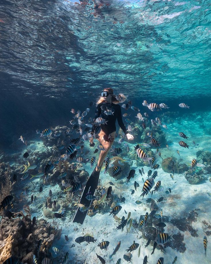 a woman scubas in the ocean with lots of fish around her and is surrounded by coral