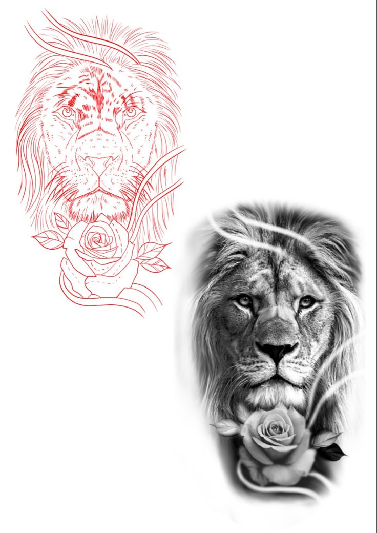 the lion and the rose are drawn on paper