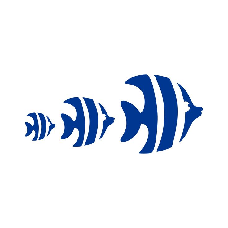 the fish is blue and white with black stripes on it's side, as well as two smaller ones