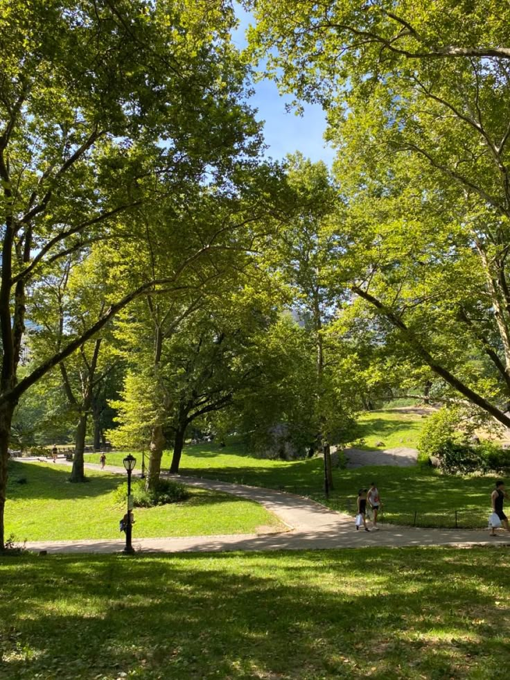 people are walking through the park on a sunny day