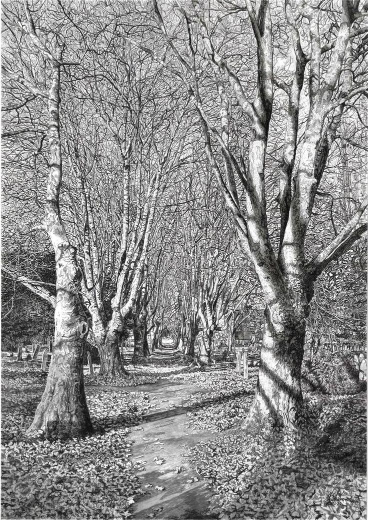 a black and white photo of trees with leaves on the ground in front of them