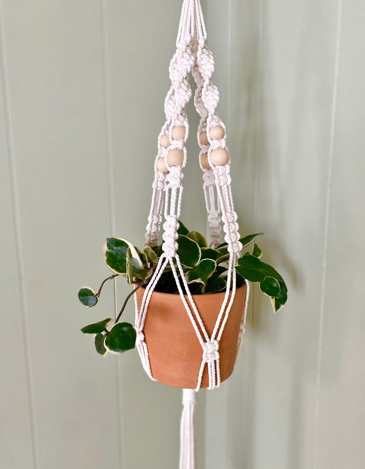 a potted plant hanging from a macrame with white beads and wood beads