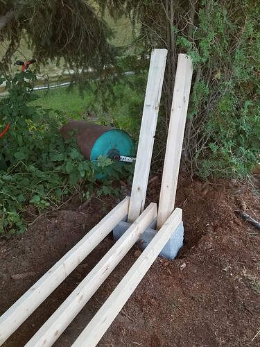 three wooden poles laying on the ground next to trees