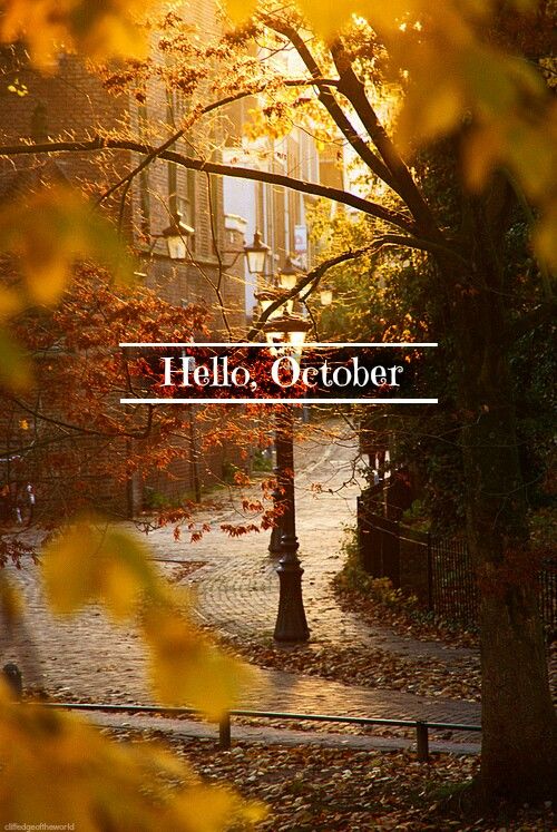 the words hello october are displayed in front of an autumn scene