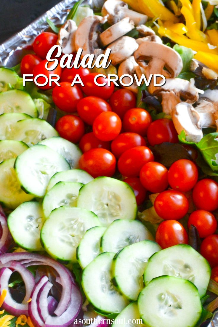 salad for a crowd with tomatoes, cucumbers, onions and mushrooms in it