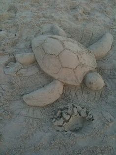 a sand sculpture of a turtle on the beach