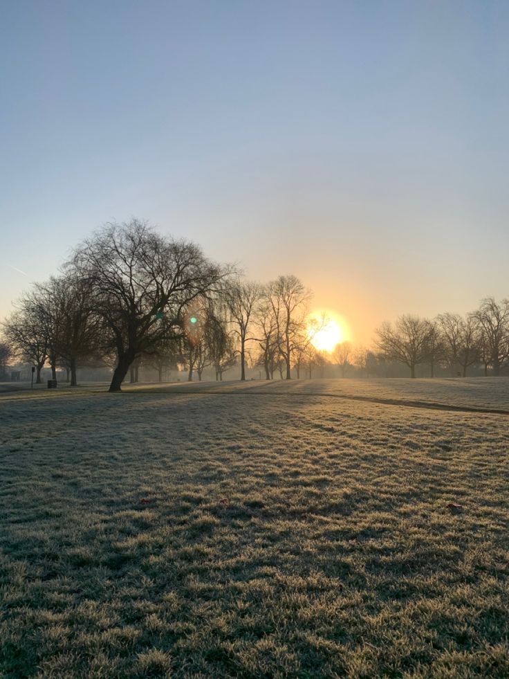 the sun is setting behind some trees on a frosty field with no one in it