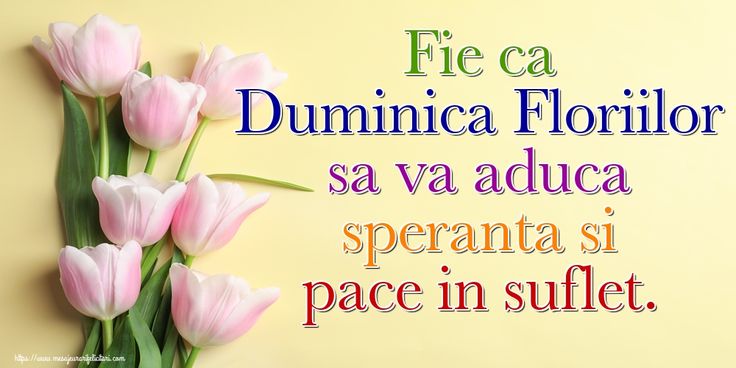 pink tulips with green stems in front of a yellow background that says, ficea dummica florilor sa va aduca