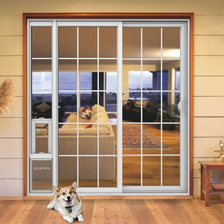 a dog sitting on the floor in front of a sliding glass door that leads to a living room