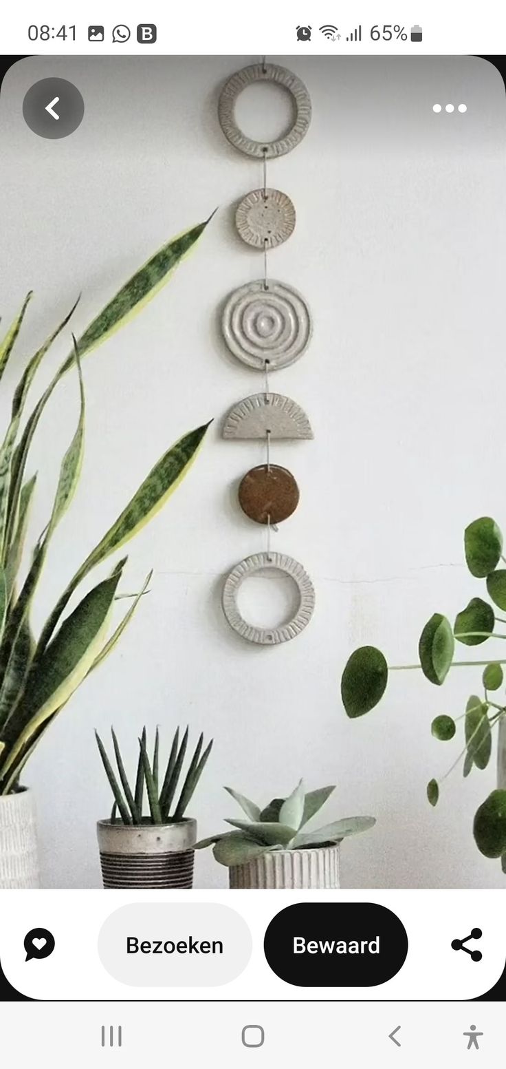 an instagram photo with plants hanging on the wall